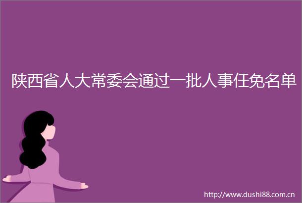 陕西省人大常委会通过一批人事任免名单