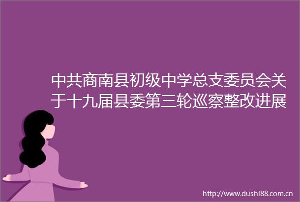 商南县初级中学总支委员会关于十九届县委第三轮巡察整改进展情况的通报