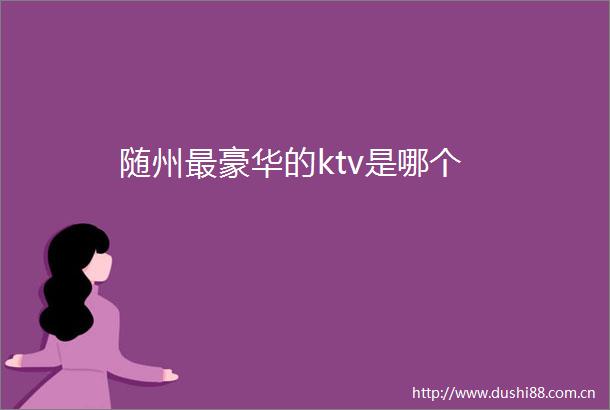随州最豪华的ktv是哪个