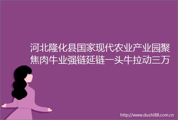 河北隆化县现代农业产业园聚焦肉牛业强链延链一头牛拉动三万多户增收