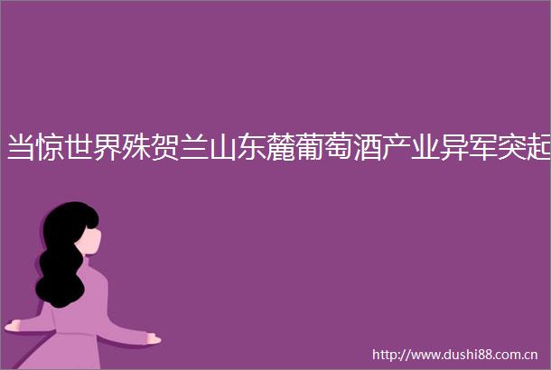 当惊世界殊贺兰山东麓葡萄酒产业异军突起