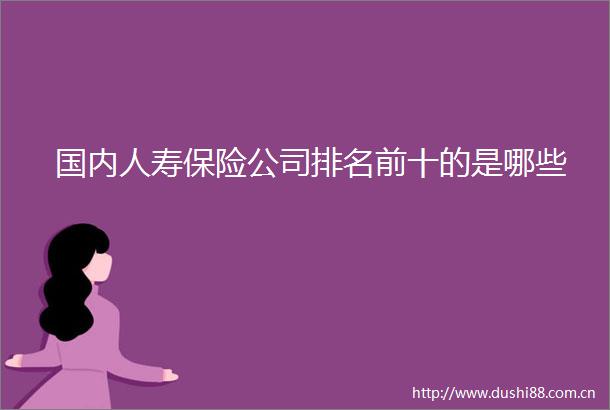 国内人寿保险公司排名前十的是哪些