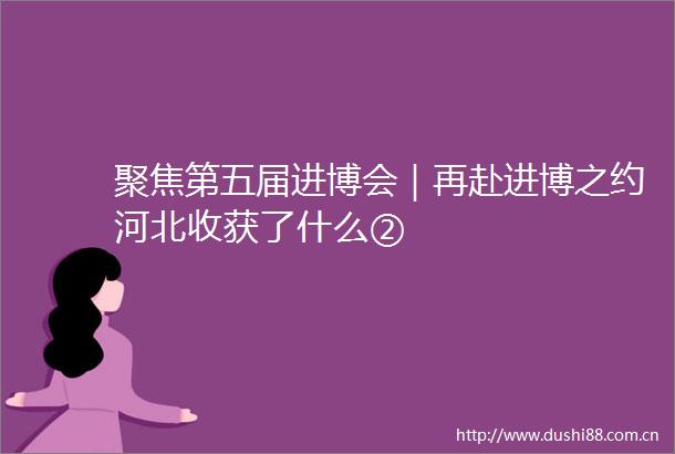 聚焦第五届进博会｜再赴进博之约河北收获了什么②