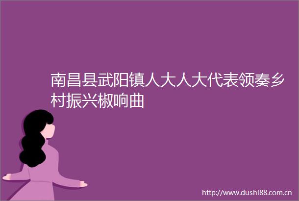 南昌县武阳镇人大人大代表领奏乡村振兴椒响曲