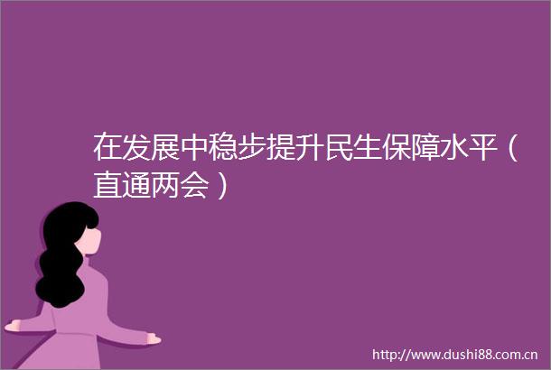 在发展中稳步提升民生保障水平（直通两会）