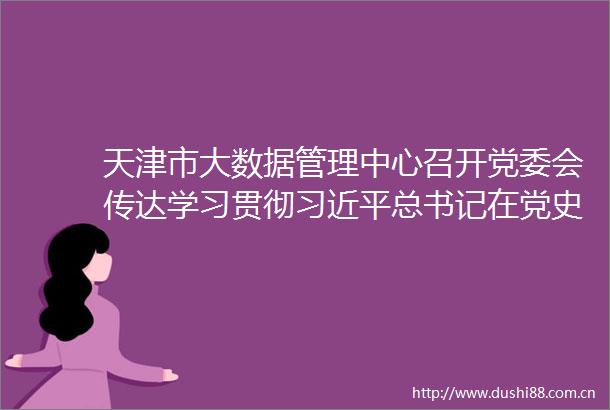 天津市大数据管理中心召开党委会传达学习贯彻总书记在党史学习教育动员大会上的重要讲话精神