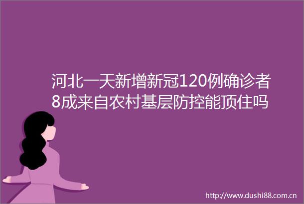 河北一天新增新冠120例确诊者8成来自农村基层防控能顶住吗