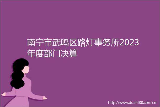 南宁市武鸣区路灯事务所2023年度部门决算