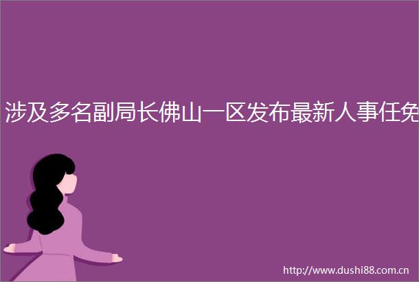 涉及多名副局长佛山一区发布最新人事任免