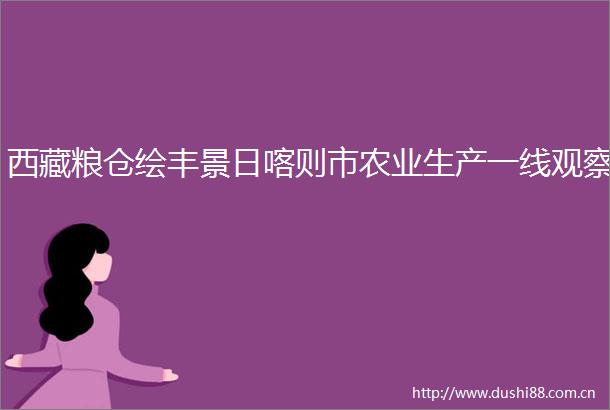 西藏粮仓绘丰景日喀则市农业生产一线观察