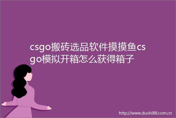 csgo搬砖选品软件摸摸鱼csgo模拟开箱怎么获得箱子