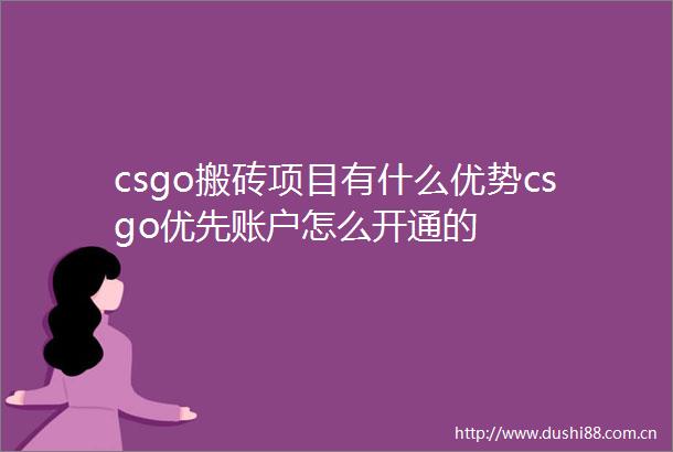 csgo搬砖项目有什么优势csgo优先账户怎么开通的
