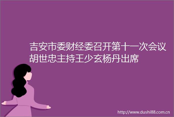 吉安市委财经委召开第十一次会议胡世忠主持王少玄杨丹出席
