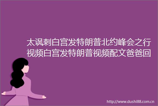 太讽刺白宫发特朗普北约峰会之行视频白宫发特朗普视频配文爸爸回家了