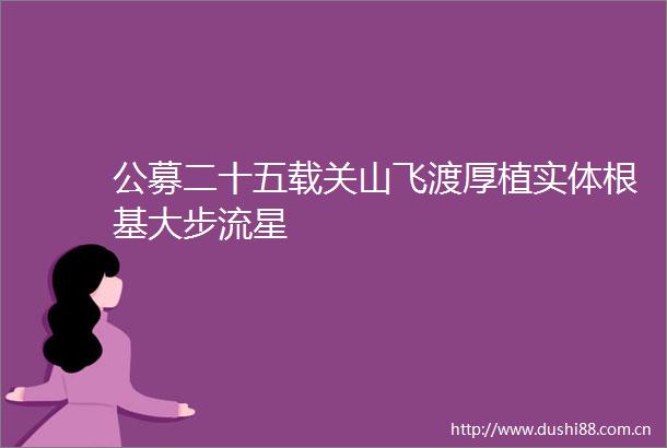 公募二十五载关山飞渡厚植实体根基大步流星