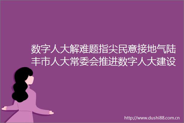 数字人大解难题指尖民意接地气陆丰市人大常委会推进数字人大建设侧记