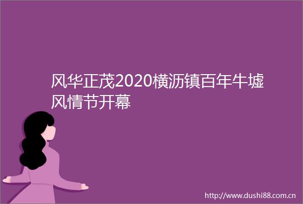 风华正茂2020横沥镇百年牛墟风情节开幕