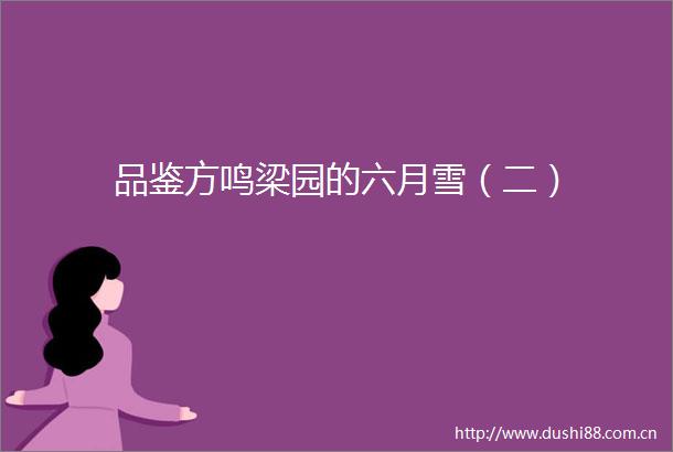 品鉴方鸣梁园的六月雪（二）