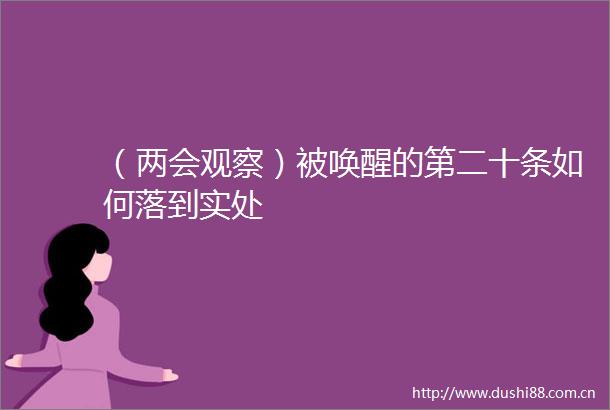 （两会观察）被唤醒的第二十条如何落到实处