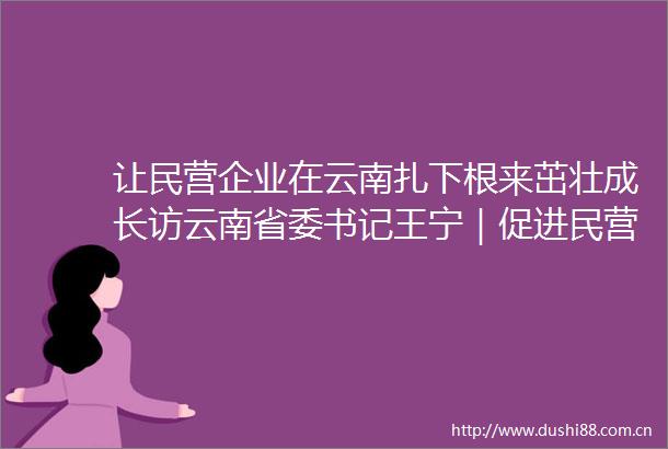 让民营企业在云南扎下根来茁壮成长访云南省委书记王宁｜促进民营经济高质量发展权威访谈