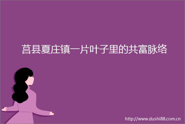 莒县夏庄镇一片叶子里的共富脉络