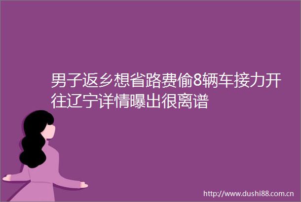 男子返乡想省路费偷8辆车接力开往辽宁详情曝出很离谱