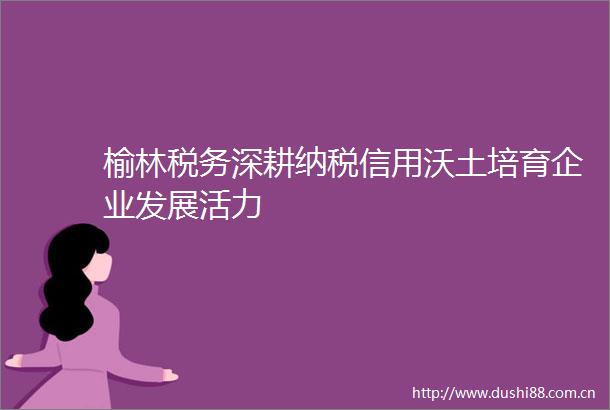 榆林税务深耕纳税信用沃土培育企业发展活力