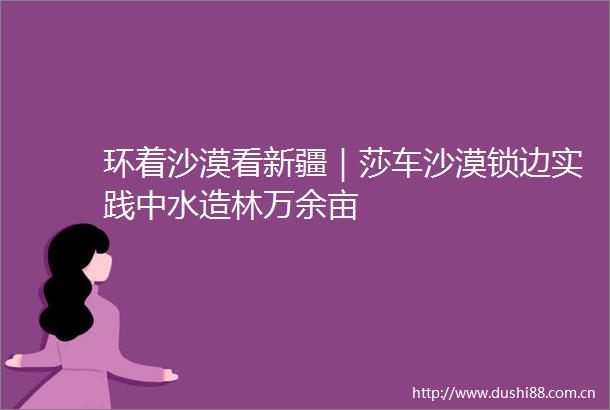 环着沙漠看新疆｜莎车沙漠锁边实践中水造林万余亩