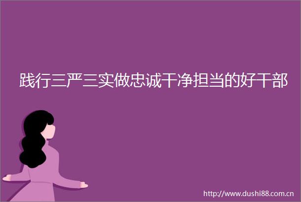 践行三严三实做忠诚干净担当的好