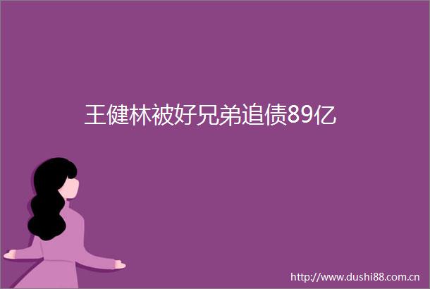 王健林被好兄弟追债89亿
