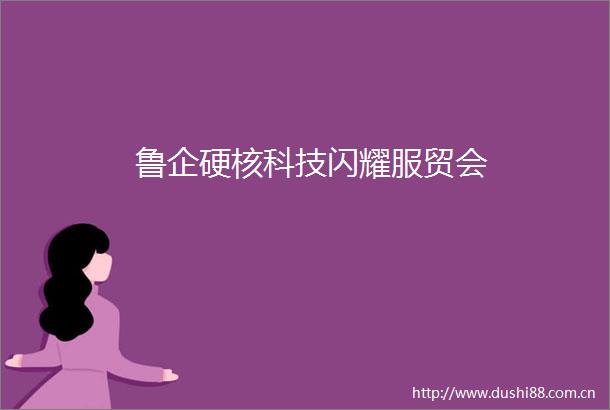 鲁企硬核科技闪耀服贸会