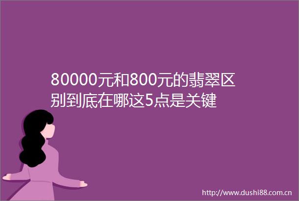 80000元和800元的翡翠区别到底在哪这5点是关键
