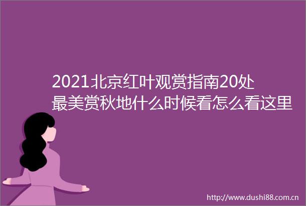 2021北京红叶观赏指南20处最美赏秋地什么时候看怎么看这里统统有