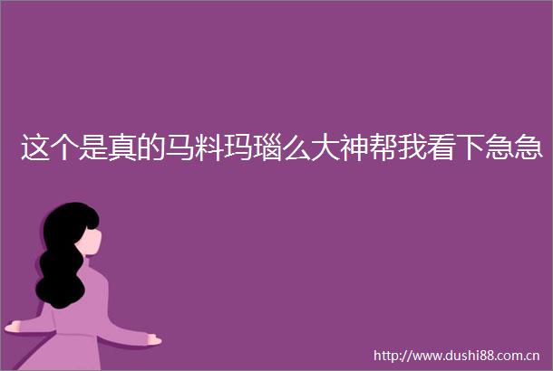 这个是真的马料玛瑙么大神帮我看下急急