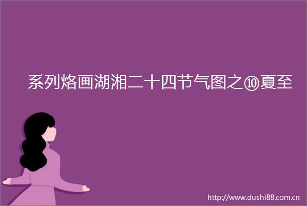 系列烙画湖湘二十四节气图之⑩夏至