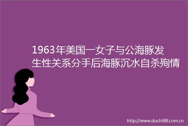 1963年美国一女子与公海豚发生性关系分手后海豚沉水殉情