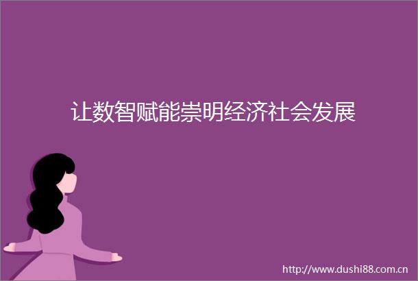 让数智赋能崇明经济社会发展