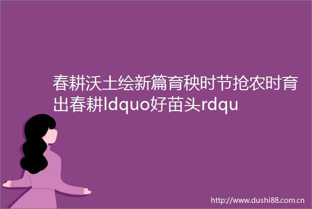春耕沃土绘新篇育秧时节抢农时育出春耕ldquo好苗头rdquo