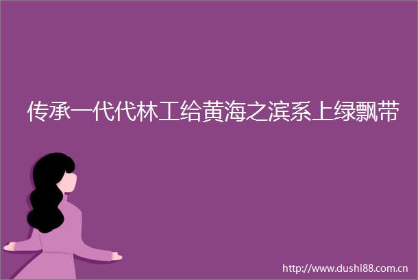 传承一代代林工给黄海之滨系上绿飘带