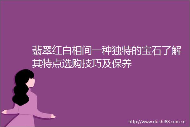 翡翠红白相间一种独特的宝石了解其特点选购技巧及保养