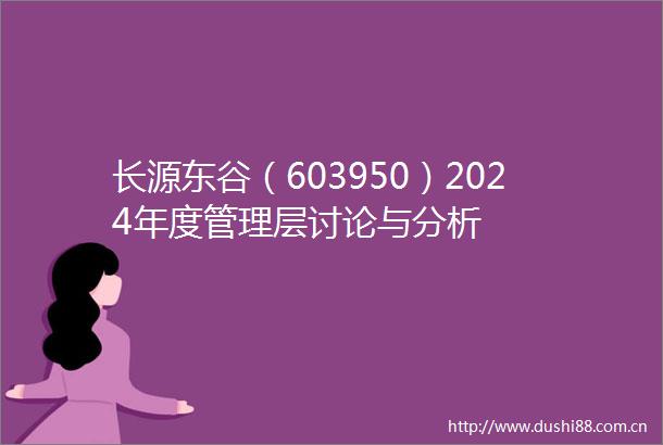 长源东谷（603950）2024年度管理层讨论与分析