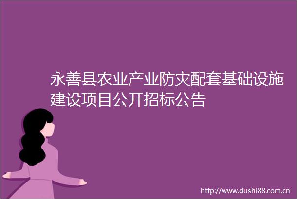 永善县农业产业防灾配套基础设施建设项目公开招标公告