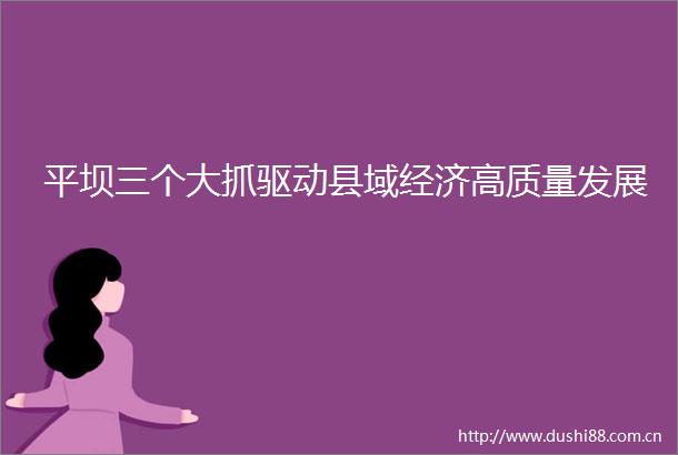 平坝三个大抓驱动县域经济高质量发展