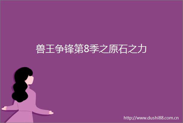 兽王争锋第8季之原石之力
