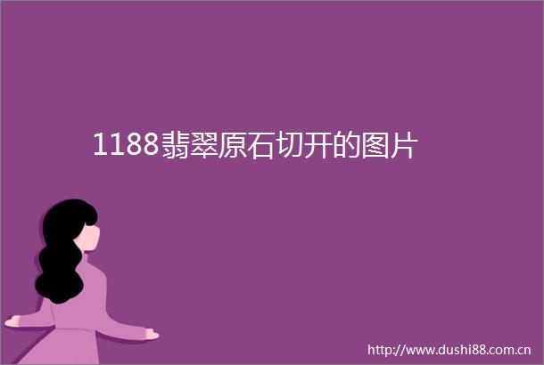 1188翡翠原石切开的图片