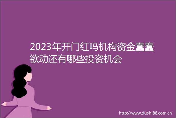 2023年开门红吗机构资金蠢蠢欲动还有哪些投资机会