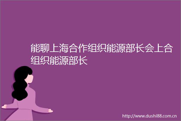 能聊上海合作组织能源部长会上合组织能源部长