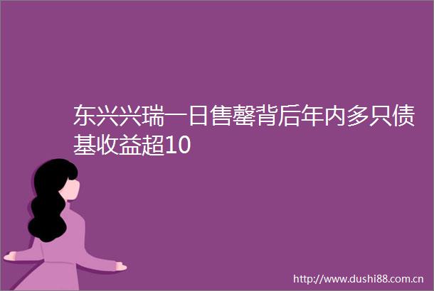 东兴兴瑞一日售罄背后年内多只债基收益超10