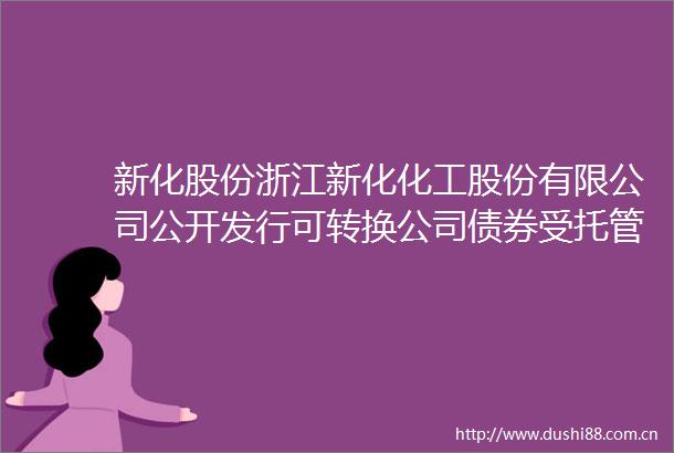 新化股份浙江新化化工股份有限公司公开发行可转换公司债券受托管理事务报告（2024年度）