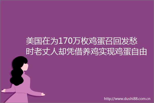 美国在为170万枚鸡蛋召回发愁时老丈人却凭借养鸡实现鸡蛋自由